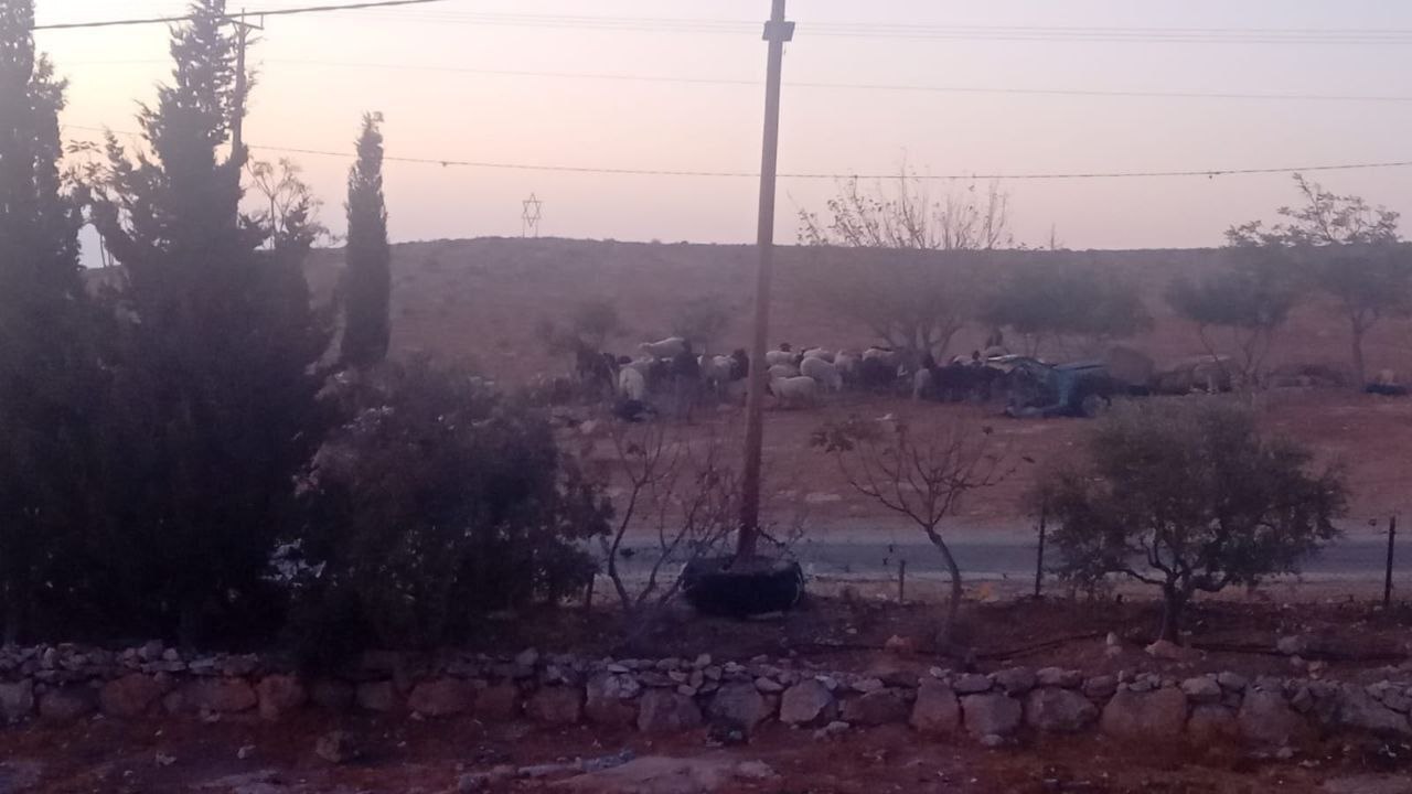 شهرکنشینان صهیونیست با پشتیبانی ارتش به اراضی فلسطینیان در جنوب الخلیل یورش بردند شهرکنشینان صهیونیست با پشتیبانی ارتش به اراضی فلسطینیان در جنوب الخلیل یورش بردند