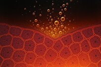 نوشابه رژیمی هم آرام‌آرام کبد را نابود می‌کند