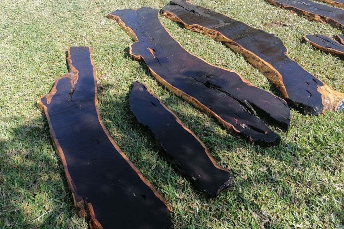 گران قیمت‌ترین چوب دنیا چیست؟ گزارشی از بازار چوب‌های لوکس