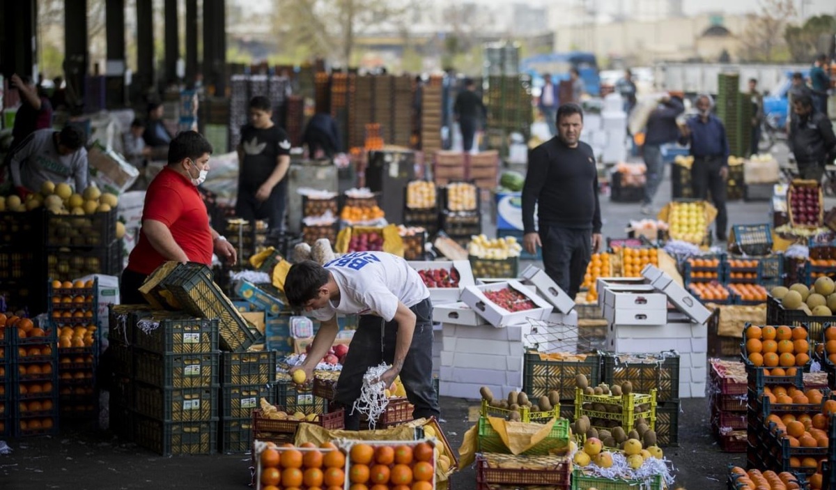 ساخت دو میدان میوه و تره‌بار جدید منطقه ۵؛ به‌زودی