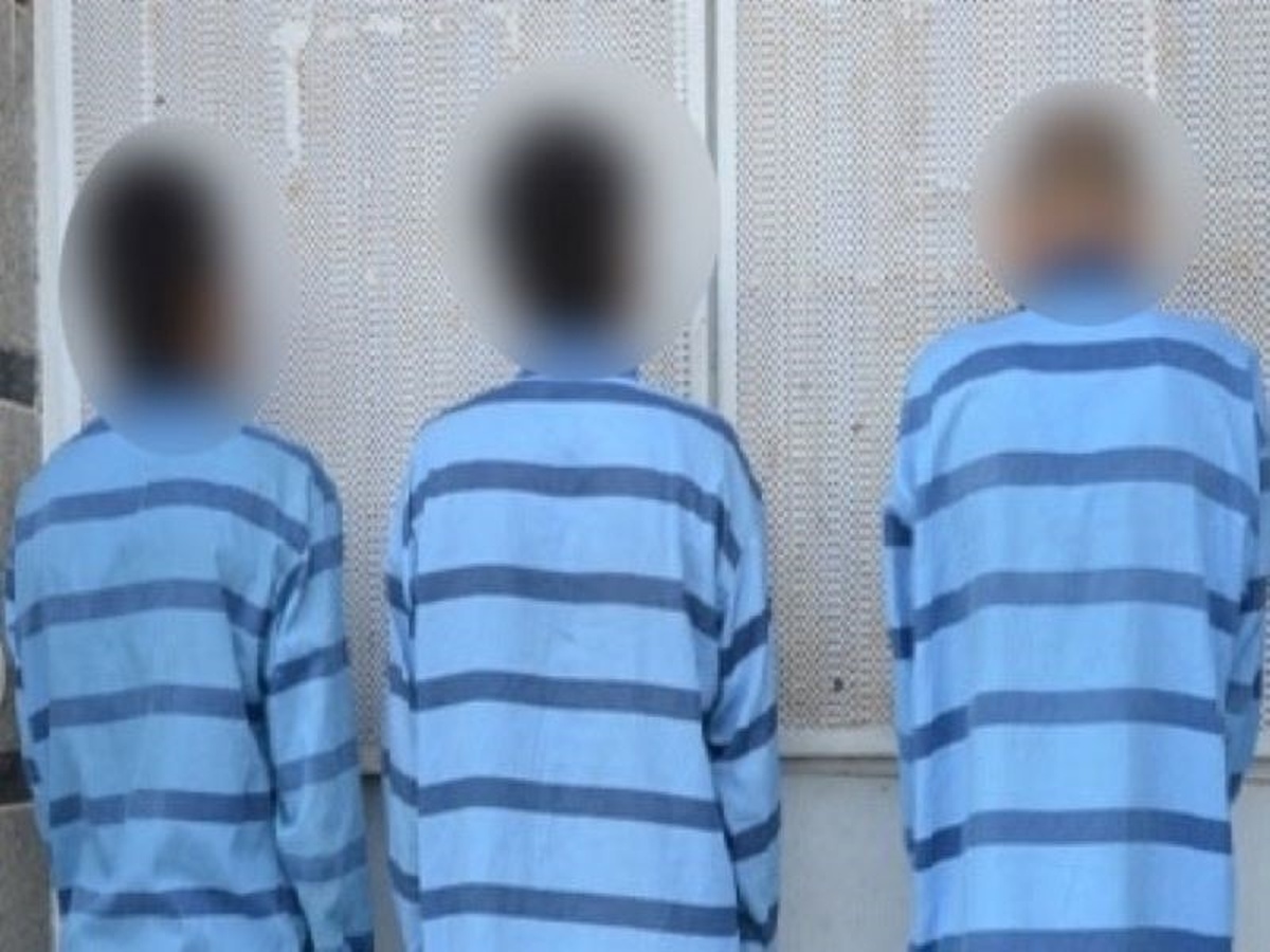 دستگيری سارقان و کشف ۲۰ فقره سرقت