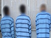 دستگيری سارقان و کشف ۲۰ فقره سرقت