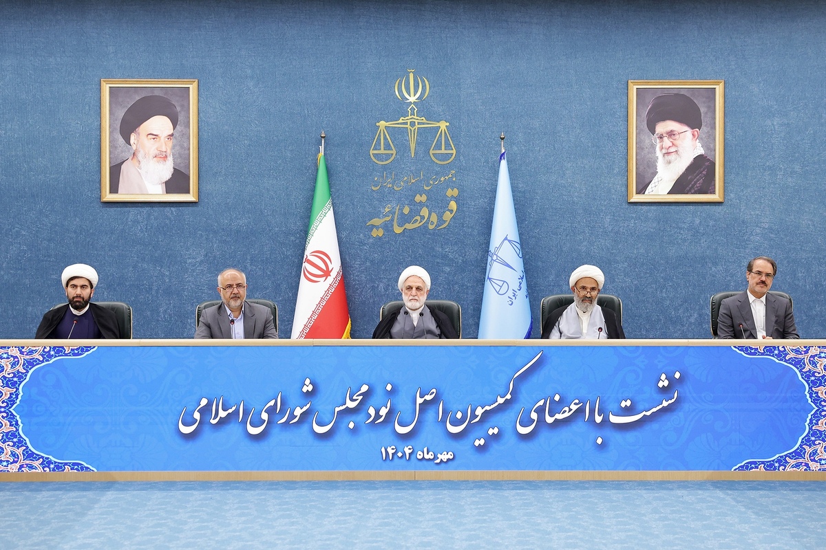 اژه‌ای: بررسی کارشناسی بازدارندگی جرم و محدودیت مصوبات شورای‌ عالی هماهنگی اقتصادی ضروری است