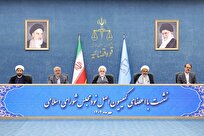 اژه‌ای: بررسی کارشناسی بازدارندگی جرم و محدودیت مصوبات شورای‌ عالی هماهنگی اقتصادی ضروری است