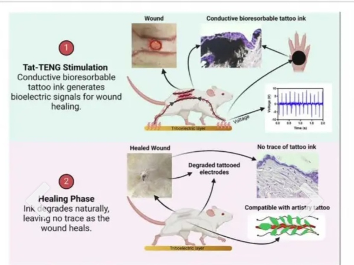 تولید انرژی و تحریک فرایند‌های درمانی از حرکات معمول بدن انسان
