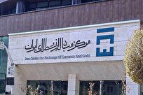 رئیس مرکز مبادله: اسنپ‌بک مانع معاملات ارزی نیست