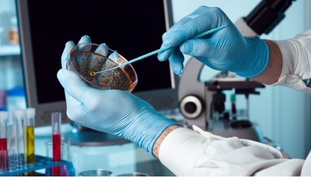 دستیابی محققان به فناوری تشخیص تقلب در روغن حیوانی