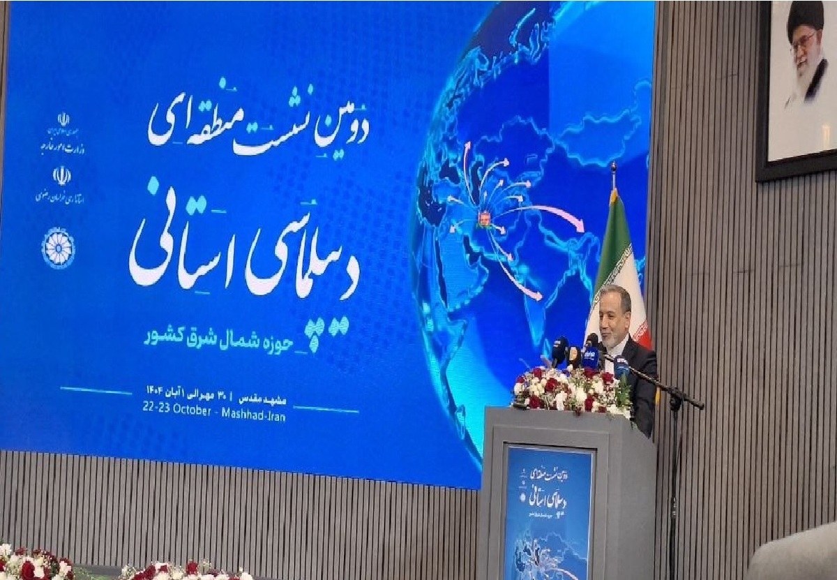 عراقچی: کمتر از ۵۰ درصد ظرفیت‌های کشور‌های همسایه را مورد استفاده قرار داده‌ایم  تأکید بر لزوم اتکا به توانمندی‌های داخلی