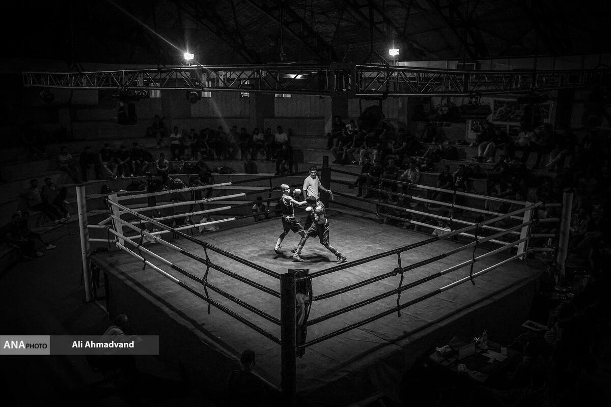 واگذاری ۴۳۲۰ مترمربع زمین به فدراسیون بوکس در مجموعه ورزشی آزادی