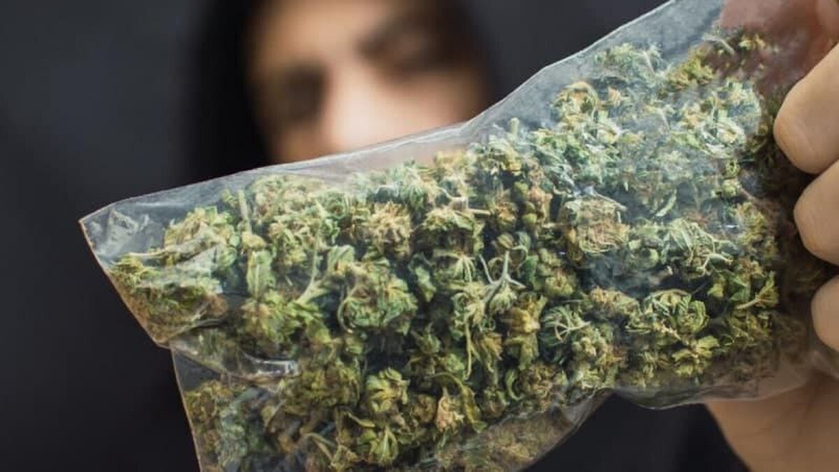 کِمیکال مغز نوجوان را در چند ماه به مرز فروپاشی می‌برد!