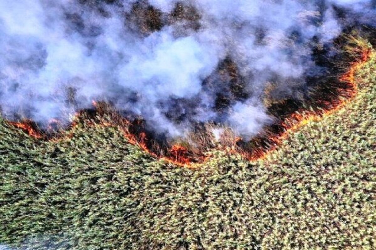 هورالعظیم در آتش؛ ریشه بحران دود در خشکسالی ۸ ماهه بخش عراقی است  حقابه هورالعظیم گروگان کم‌آبی عراق