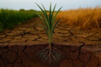 میکروب‌های خاک خشکسالی را به خاطر می‌سپارند