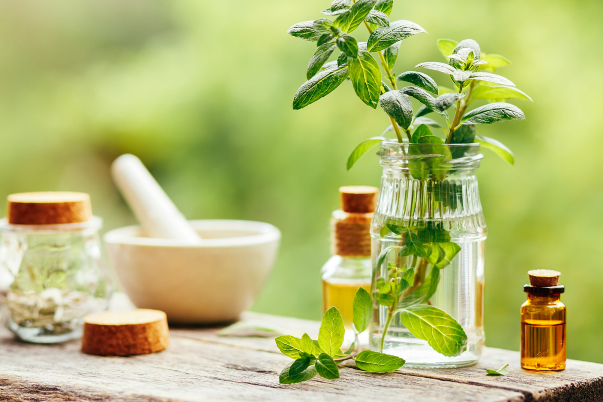 نیازمند تسهیل در بروکراسی برای تسریع پیشرفت دانش‌بنیان‌ها هستیم