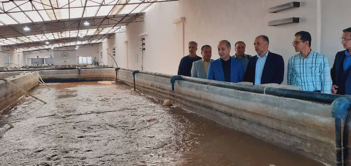 «بیوفلاک» دانشگاه آزاد؛ نقطه‌ عطفی در تحول شیلات، فرصتی طلایی برای سرمایه‌گذاران