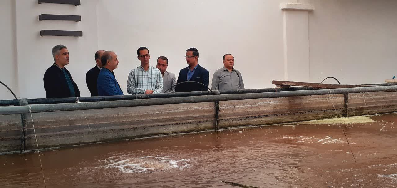 «بیوفلاک» دانشگاه آزاد؛ نقطه عطفی در تحول شیلات؛ فرصتی طلایی برای سرمایهگذاران «بیوفلاک» دانشگاه آزاد؛ نقطه عطفی در تحول شیلات؛ فرصتی طلایی برای سرمایهگذاران