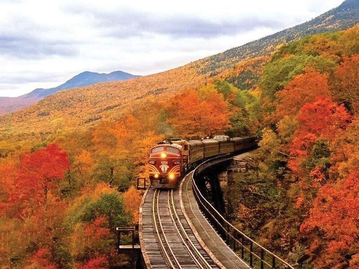 علم‌سنجی در خدمت گردشگری؛ چرا دانشجویان هنوز ظرفیت بازار کار این رشته را درک نکرده‌اند؟