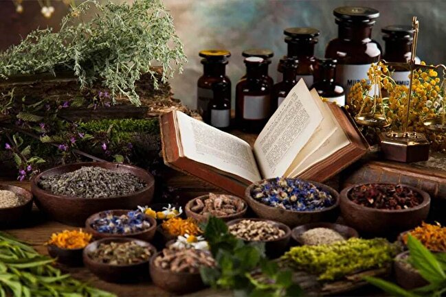 ایران در رتبه چهارم جهانی تولید علم طب سنتی؛ باید از تقابل طب ایرانی با مدرنیته پرهیز کرد
