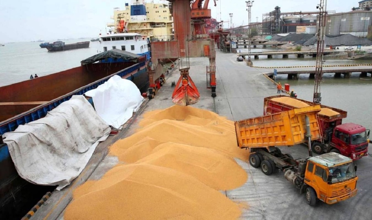 وابستگی سفره مردم به واردات ۸۰ درصدی نهاده  نوسان ۱۹ درصدی قیمت به تولید دام آسیب می‌زند