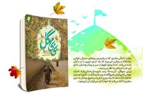رمان «بی‌بی مهگل» اثری درباره عشق، نذر و زیارت امام رضا(ع)