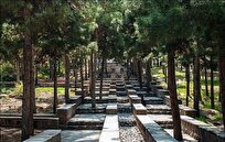 آغاز مسیر ساخت تصفیه‌خانه‌های اختصاصی برای نجات جنگل‌های تهران از بحران کم‌آبی