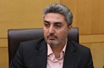 ممکان: دولت برای حذف ارز ترجیحی باید از مجلس مجوز گیرد