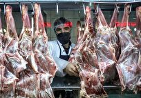 پیگیری تخصیص ارز برای واردات گوشت در بازدید بازرس سازمان بازرسی از مجتمع صنایع غذایی جنوب تهران 