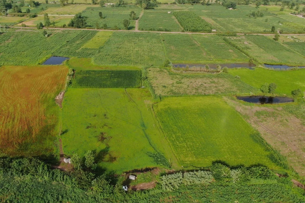 خلع ید بیش از ۲ هزار هکتار از اراضی ملی مازندران