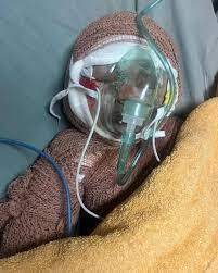 سخنان متاثر کننده رئیس بنیادشهید در توصیف شدت جراحات «کیان قاسمیان» + فیلم