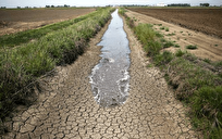 انتقاد عضو شورای شهر تهران از نبود برنامه‌ریزی بلندمدت در مدیریت آب