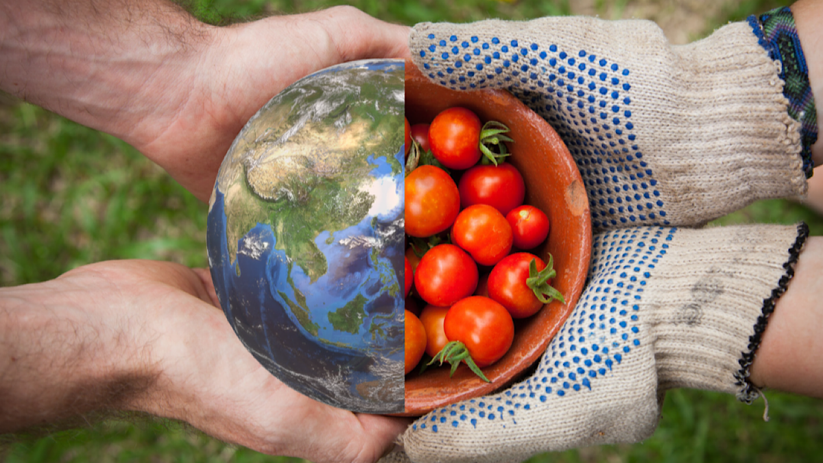 از بحران گردوغبار تا سیلاب ساحلی؛ ضرورت ظرفیتسازی دانشبنیان برای تأمین امنیت غذایی و آبی ایران