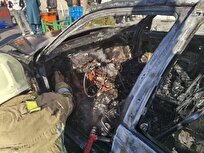 آتش‌سوزی پرشیا در میدان آزادی بدون تلفات جانی مهار شد