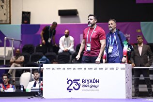 افلاکی:در کرسی‌های داوری بین المللی جایگاه نداریم و نمی‌توانیم از حق‌مان دفاع کنیم/ امیدوارم نقدها در راستای خدمت به تکواندو باشد