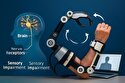ربات‌ها بیماران سکته مغزی را برای حرکت دوباره امیدوار خواهند کرد