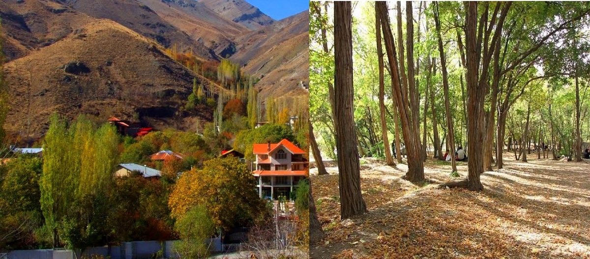 تهران در رنگ‌های پاییز  ۵ گوشه دنج برای قدم‌زدن میان برگ‌ها