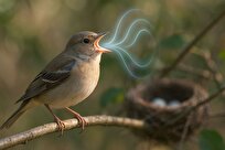 آوای جهانی پرندگان در برابر دشمن مشترک