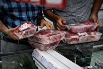 قیمت انواع گوشت بوقلمون بسته بندی و قطعه بندی اعلام شد