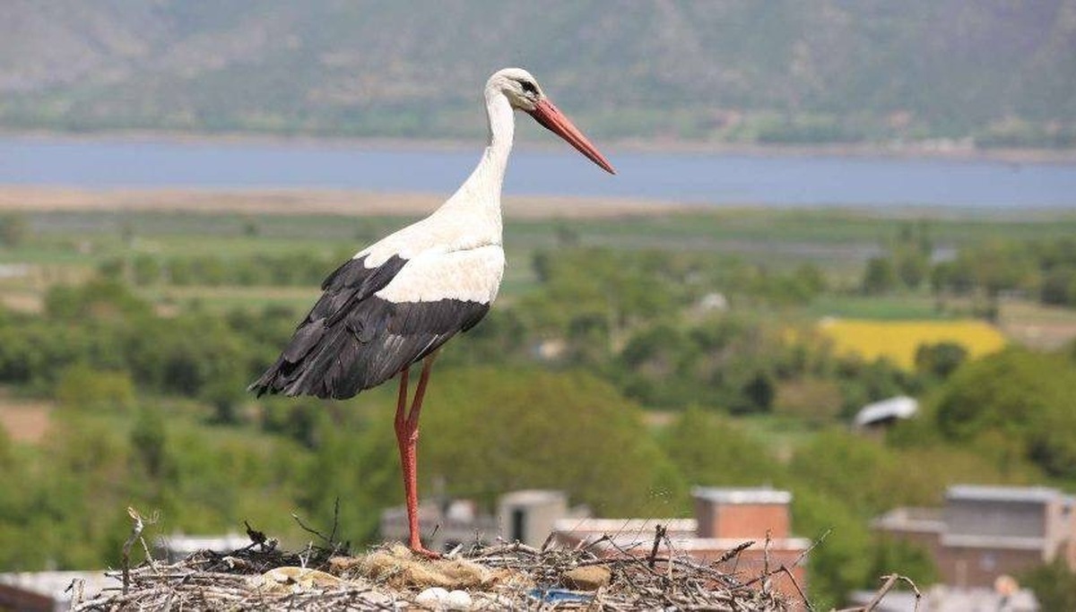 کردستان؛ استانی که با جشن‌هایش دل گردشگران را می‌رباید!