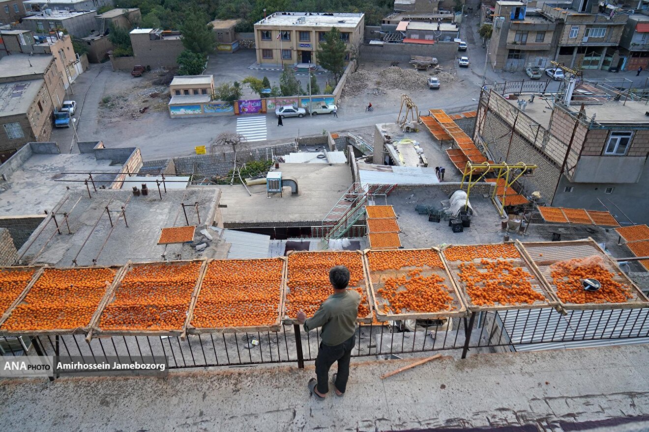 خُرو؛ پایتخت آلوی ایران