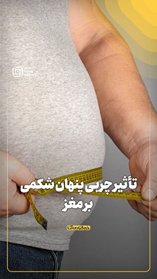 تأثیر چربی پنهان شکمی بر مغز