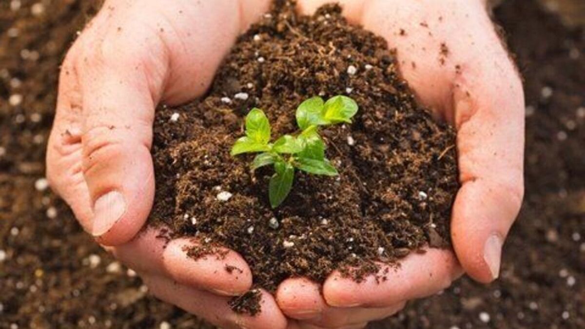 تشدید آسیب های زیست محیطی با مدیریت نادرست خاک