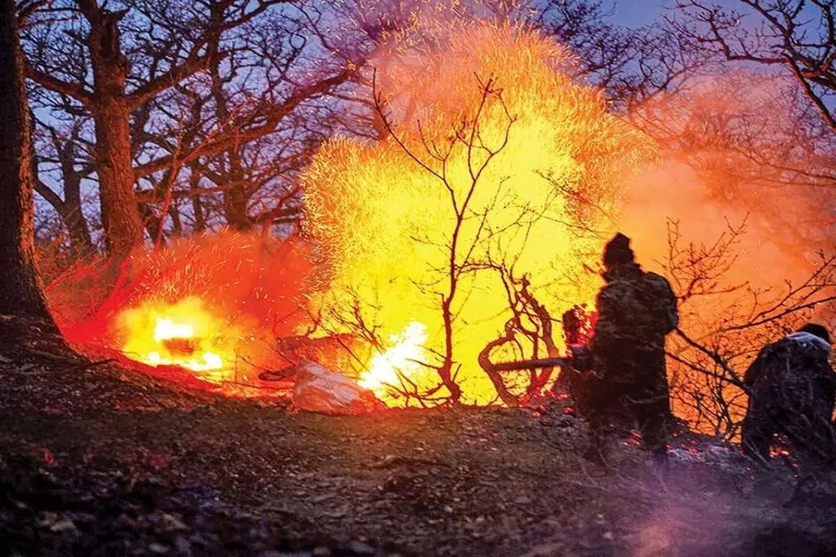 دادگستری مازندران: گزارشی از عمدی بودن آتش‌سوزی‌های اخیر دریافت نشده است
