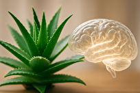 آلوئه‌ورا-و-مهار-آنزیم‌های-دخیل-در-آلزایمر