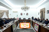 عارف: به تقسیم کار ملی درباره افراد دارای معلولیت نیازمندیم