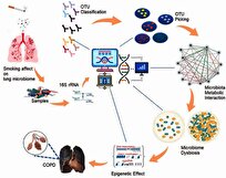کشف-تازه-پژوهشگران-دانشکدگان-فنی-دانشگاه-تهران-برای-درمان-بیماری-مزمن-ریه
