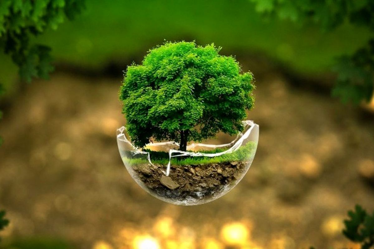 ضربه ۷۰۰ مگاواتی به خاموشی؛ بازار بهینهسازی انرژی تا ۱۴۰۶ خودگردان میشود