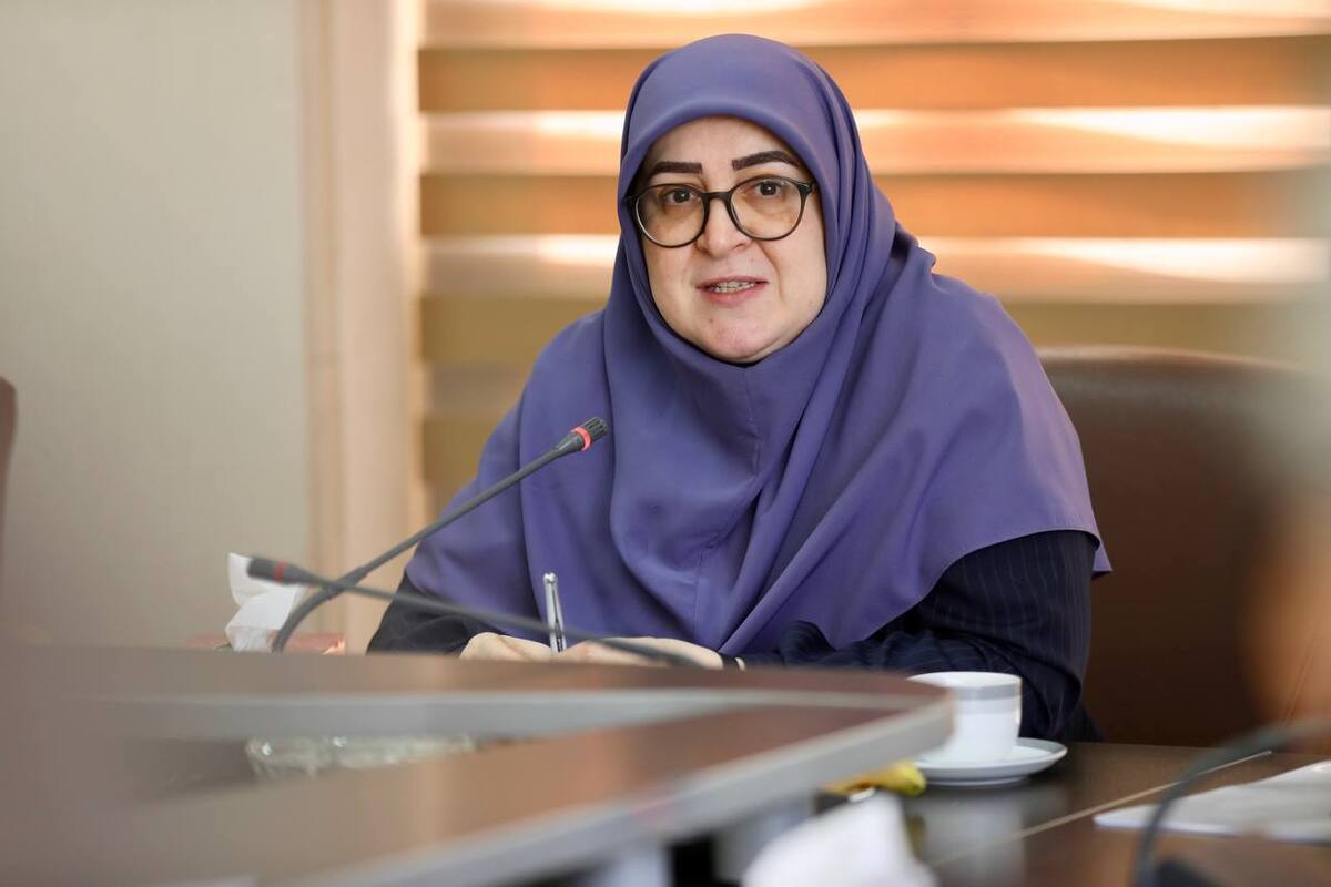 مهاجرانی: نقد رئیس‌جمهور ناظر بر اصلاح ساختارهاست، نه متوجه افراد