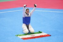 المپیک ناشنوایان | 4 نایب قهرمانی توسط کاراته کاران/ زلیکانی طلای تکواندو را دشت کرد