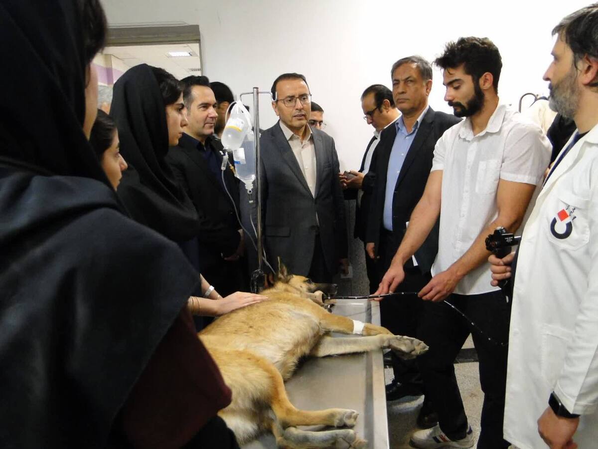 تغییر تقویم تهدیدهای زیستی! هر سال باید آماده شیوع نوع جدیدی از بیماری‌های دام و انسان باشیم