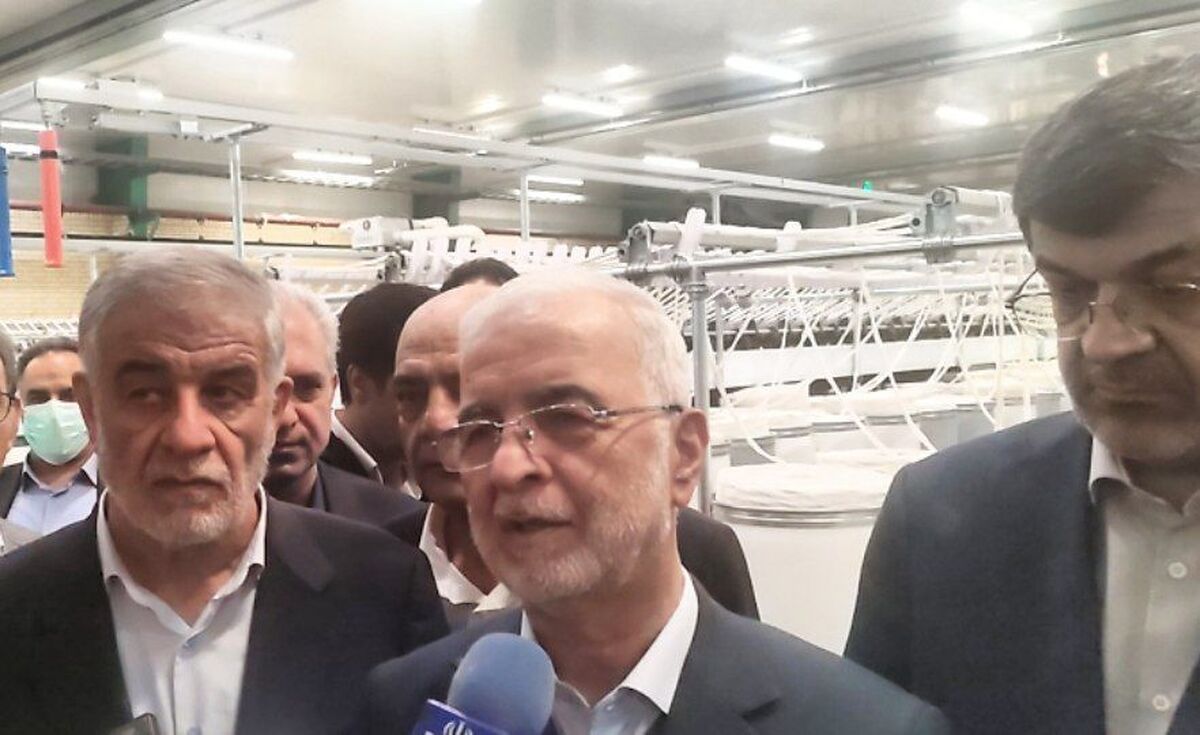 مومنی: باید دست‌اندازهای پیش روی سرمایه‌گذاران را رفع کنیم