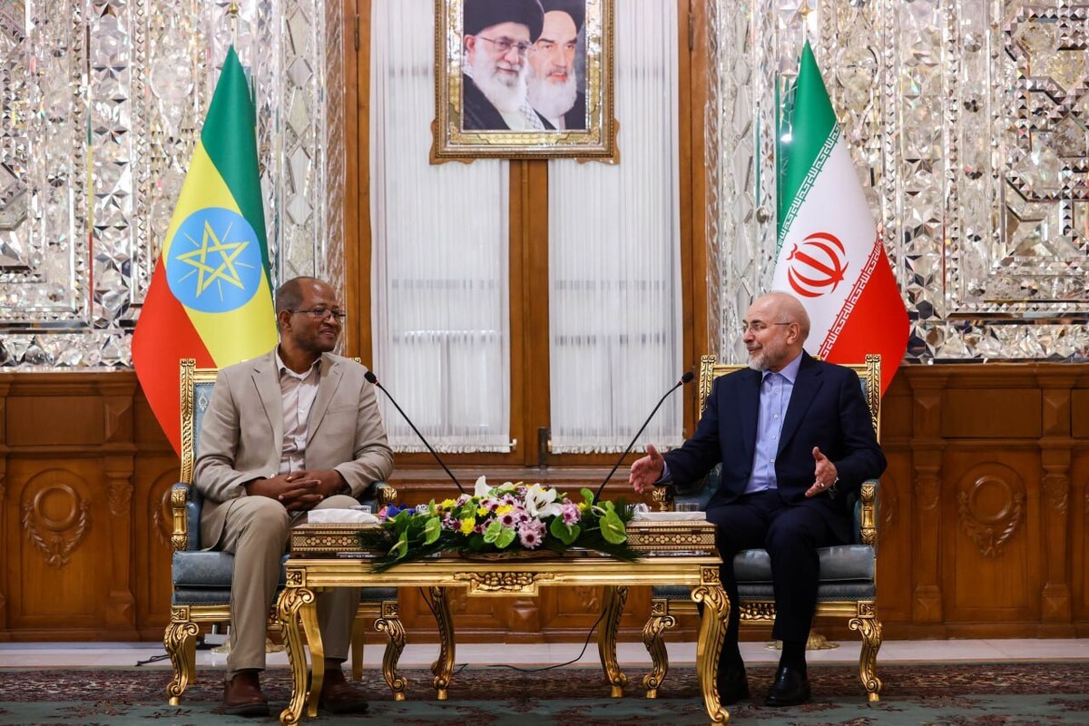 تاگسه چافو: ظرفیت‌های خوبی در شاخ آفریقا و ایران وجود دارد